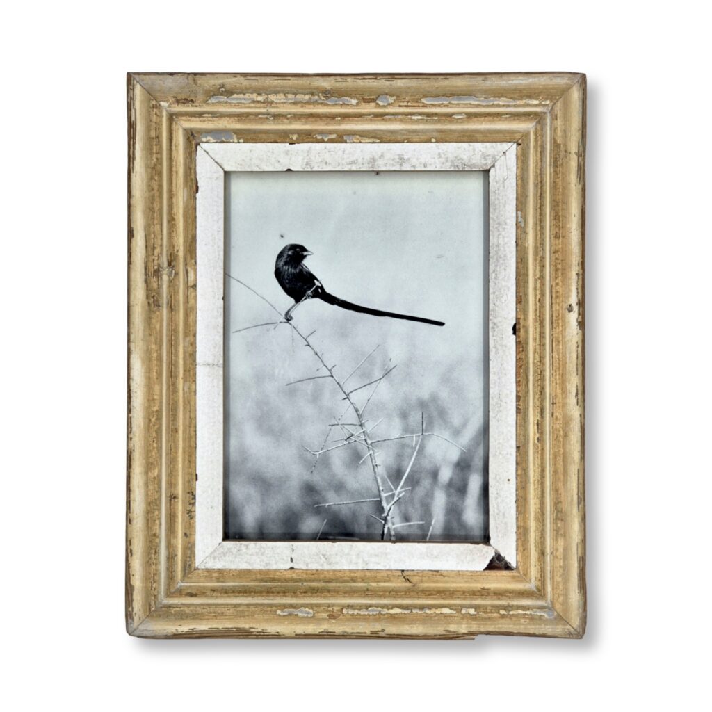 Reclaimed Wood Frame – A4 – #31230